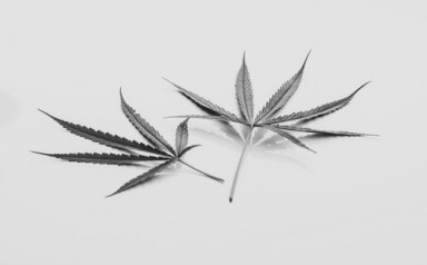 Детоксикация от наркотиков в Прасковее